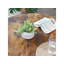 Adile Coffee Table