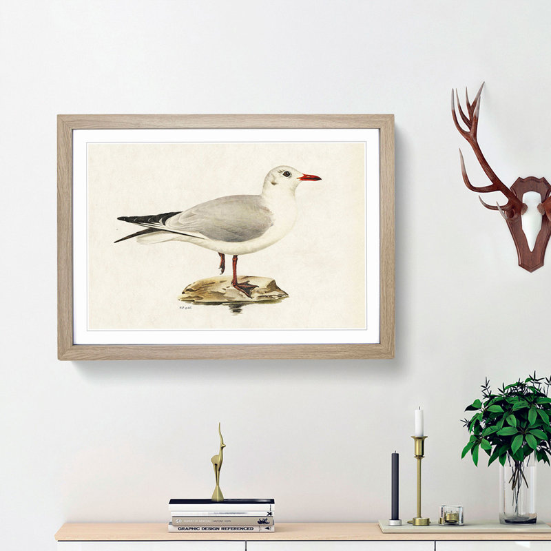 Black-Headed Gull by Von Wright - Picture Frame Art Print, Oak Framed, 48cm H x 65cm W x 2cm D