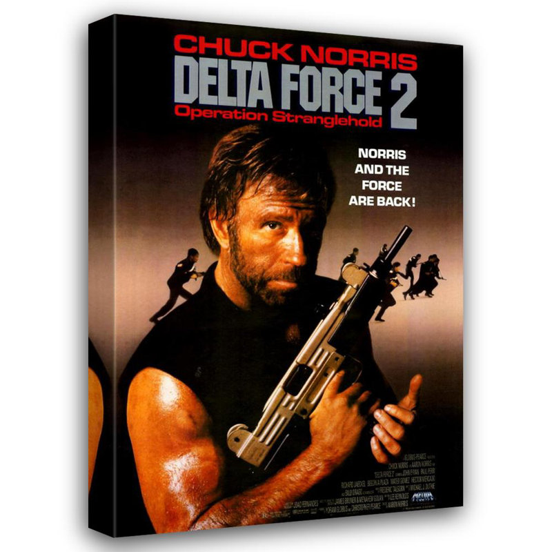 Delta Force 2:, 24" H x 16" W