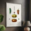 Reproduction encadrée de fruits et légumes III - bois massif-1637836958