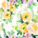 Ovando Simple Colorful Flowers - Wrapped Canvas Painting