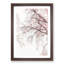 A Pink Cherry Blossom Tree Abstract - Picture Frame Painting Print-56738642-56738645