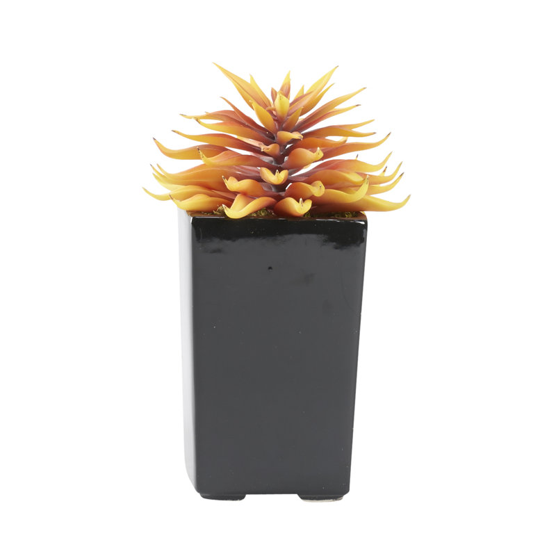 Succulent pot à fleurs carré en céramique brillante