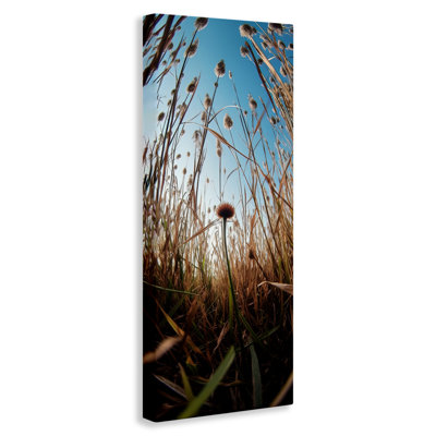 «Daydream Botanical Meadow», conception par Decent Exposures