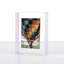 Display & Play Record Frame For 12x12" Albums-24108275-253466619