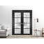 Portes françaises doubles solides | Verre givré Planum 2132 | Garnitures de cadre en bois massif | Portes robustes de chambre à coucher pour garde-robe-109698900-109698889