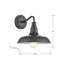 Luminaire de grange d'extérieur à 1 ampoule H 10 po Mckown-1998938480