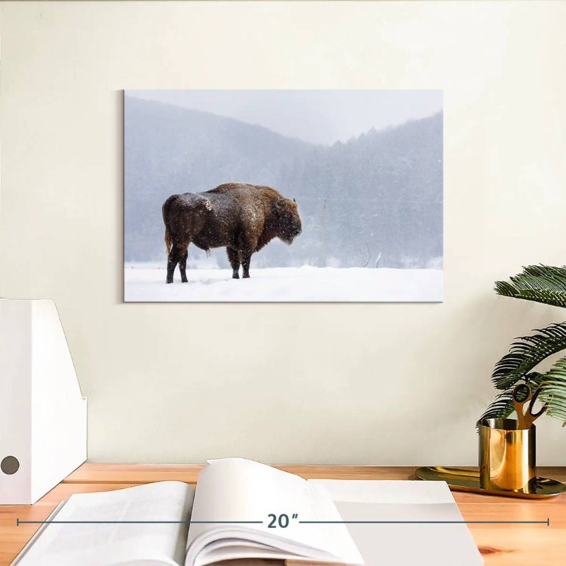 Brampt Romanian Bison, 8" H x 12" W
