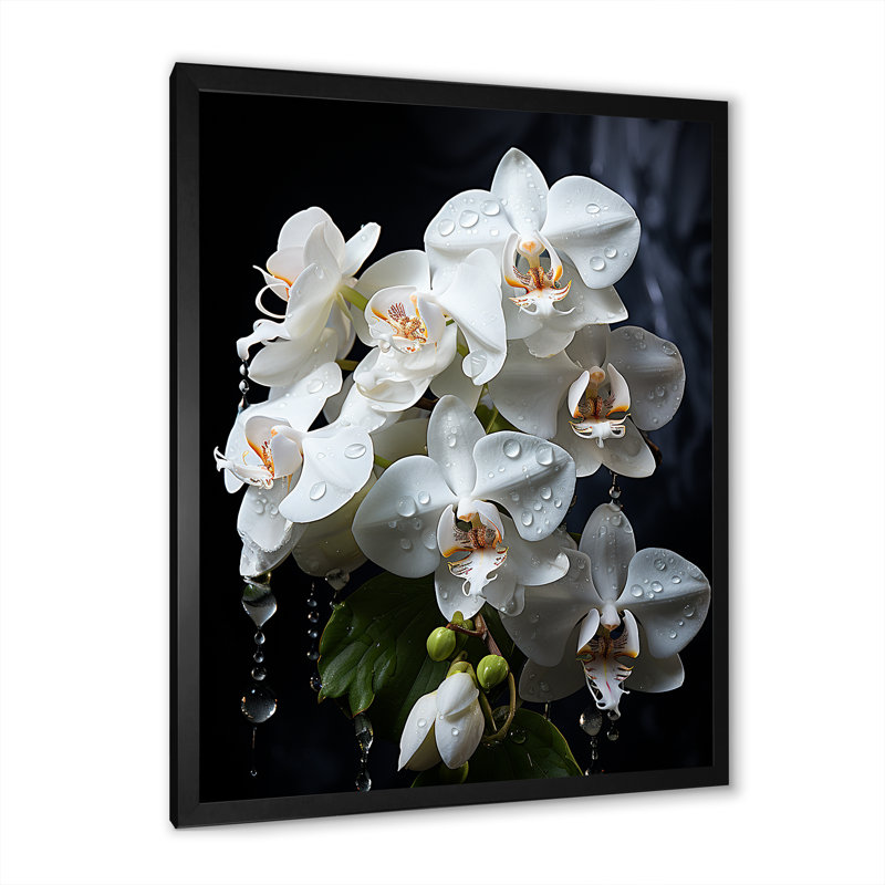 Pétales d'orchidées blanches élégantes sur toile, H 44 po x l 34 po x P 1,5 po, Cadre simple noir