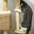 Enrichetta 38.5'' H Cat Tree