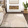 Gloria Abstract Shag Area Rug