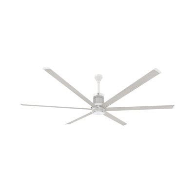 I6 Smart Downrod Ceiling Fan