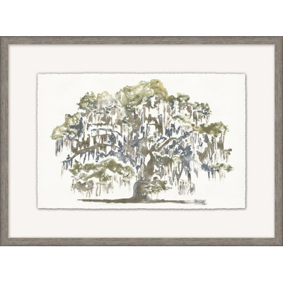 Graceful Moss Veils 1 Framed