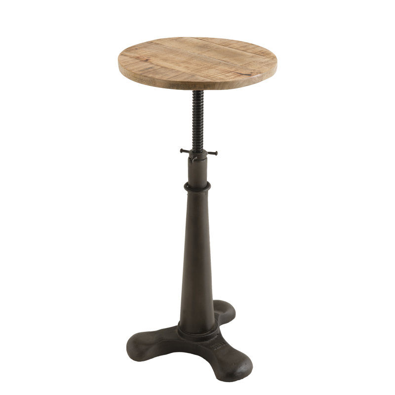 Seaton Swivel Adjustable Height Counter Stool with Metal Frame