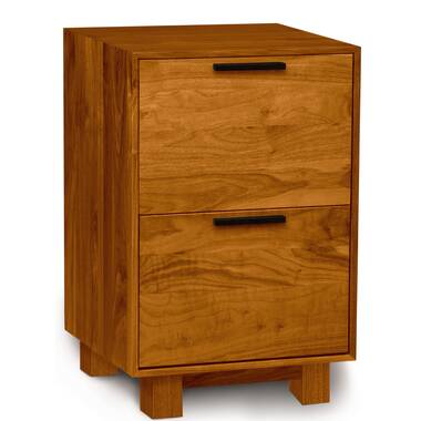 18+ Oak File Cabinets 2 Drawer