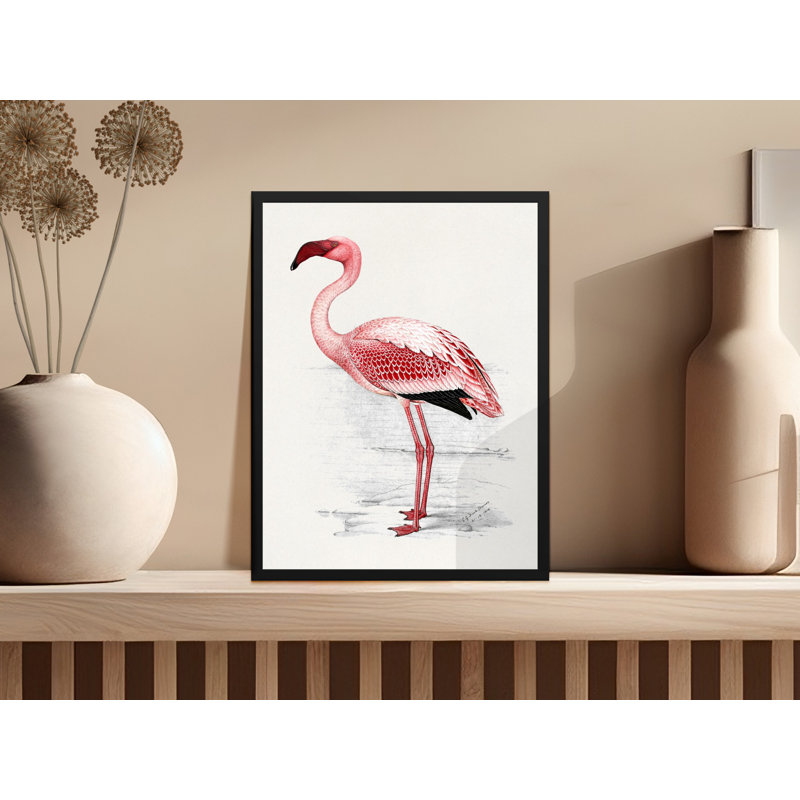 Conard Single Picture Frame Print, 35.56 cm H x 27.94 cm W