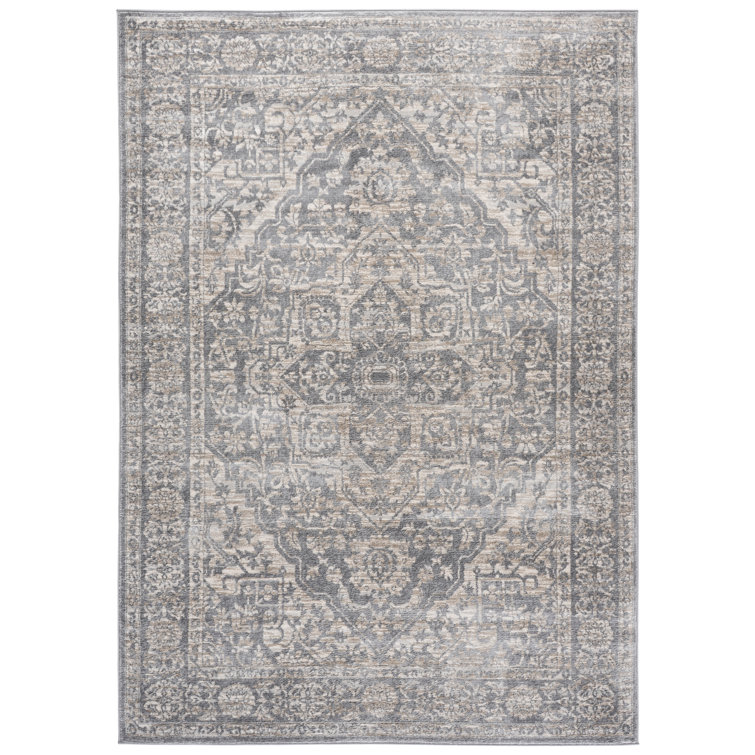 Oriental Light Gray/Ivory Area Rug