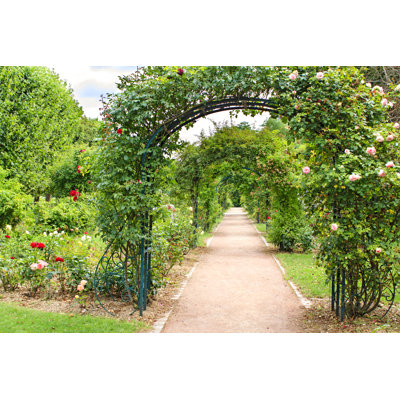 Rose Arches - Wrapped Canvas Print