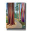 Art mural en toile Epic Graffiti «Farewell Sequoia» par Melba Browne, 12 po x 16 po