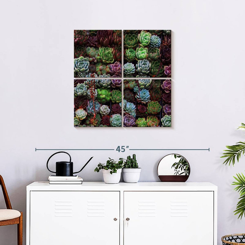 Harnek, un rassemblement de plantes grasses, H 26 po x l 26 po