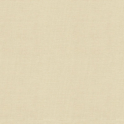 Indoor/Outdoor Fabric
