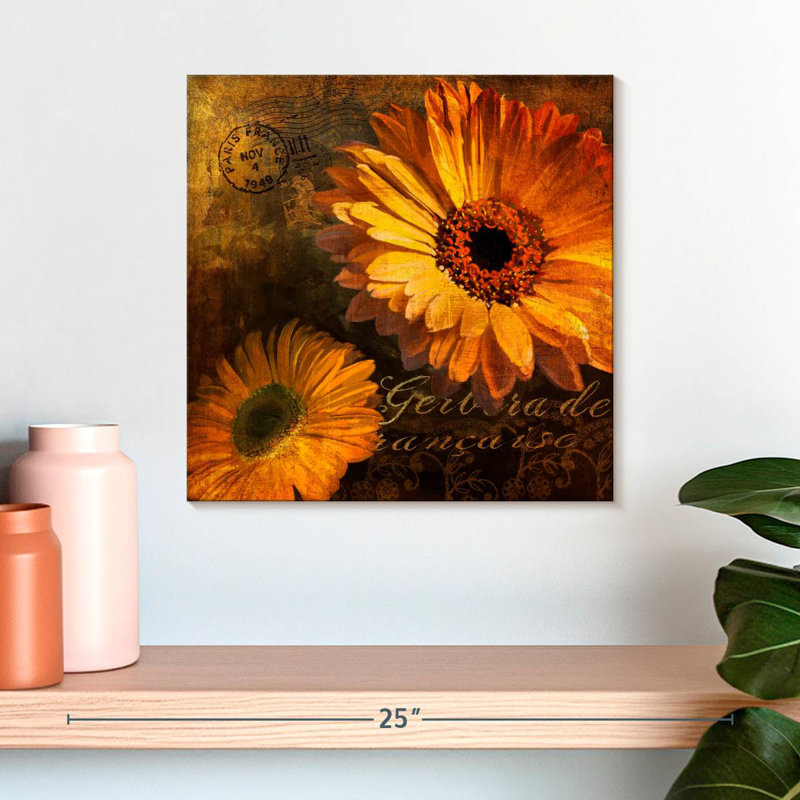 Harnek Gerbera II, H 16 po x l 16 po