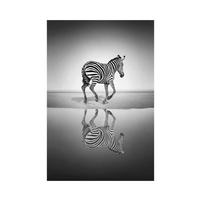 Sea Of Freedom by Ben Heine - Wrapped Canvas Print