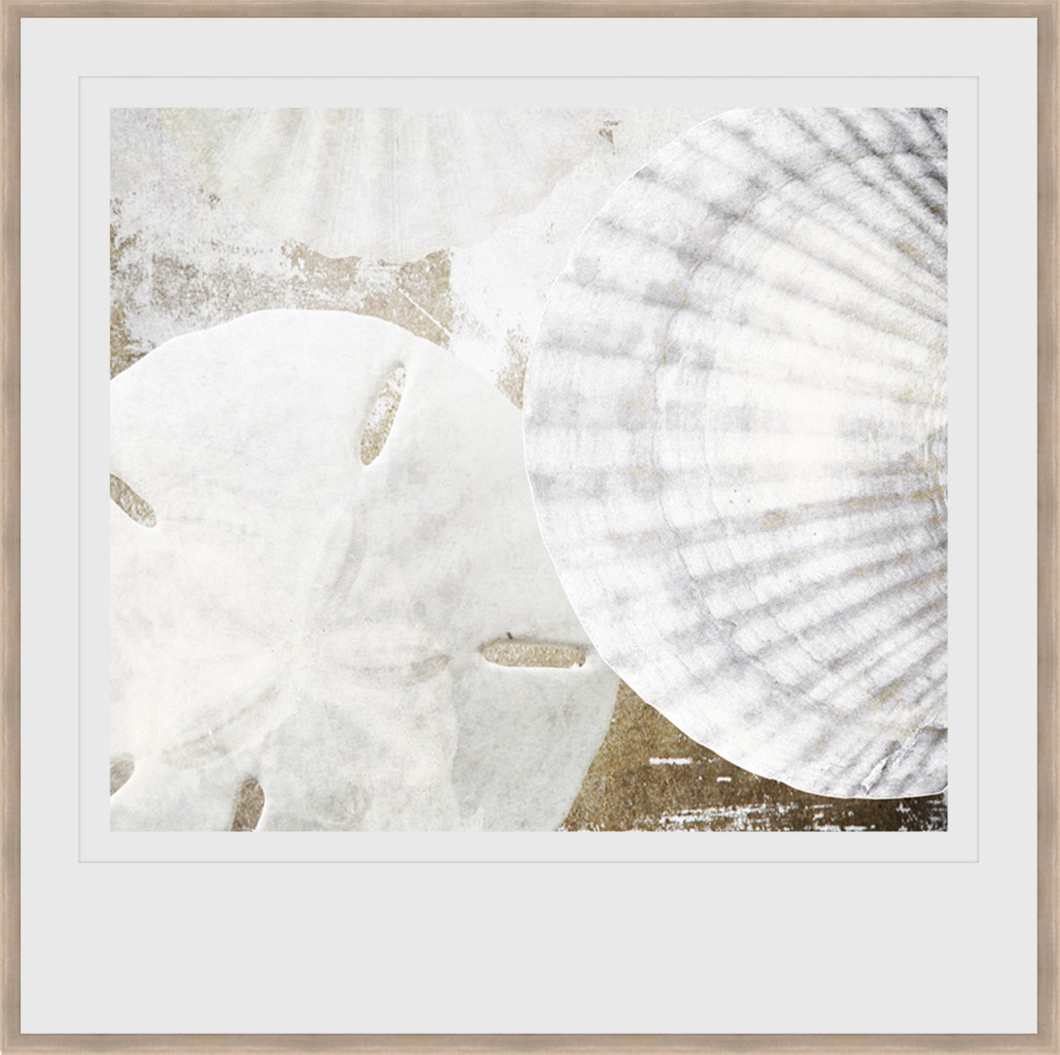 White Shell Graphics Highland Dunes 'White Shells II' Framed Graphic Art | Wayfair