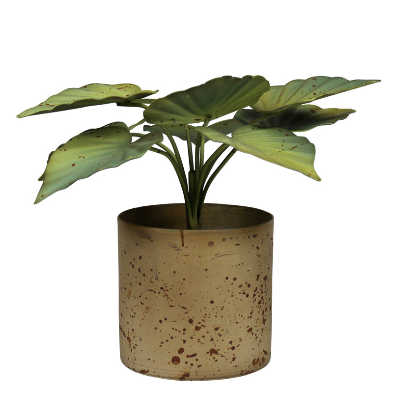 Pot avec feuilles vertes, aluminium