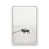 Opaque White Floater Framed