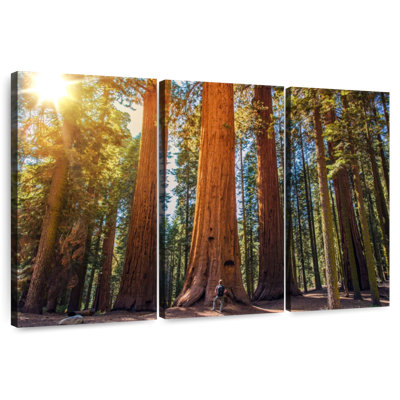 Harnek Giant Sequoia Trees