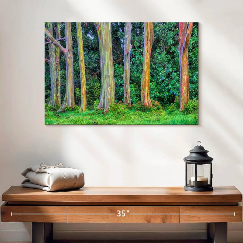 " Eucalyptus Rainbow Trees ", 16" H x 24" W x 1.25" D