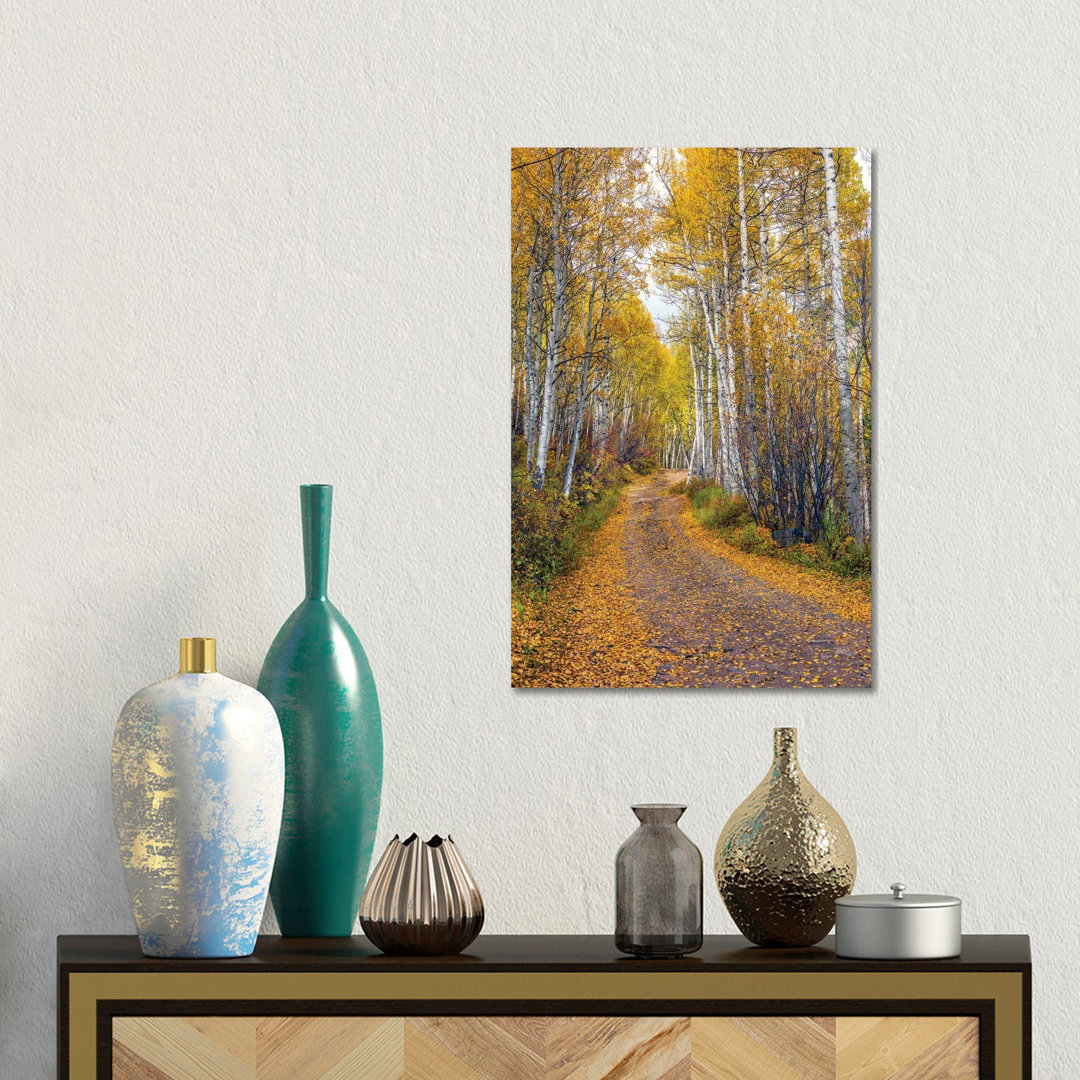 Herbst in Aspen Colorado von Susanne Kremer - Galerie-verpackte Leinwand Giclée auf Leinwand