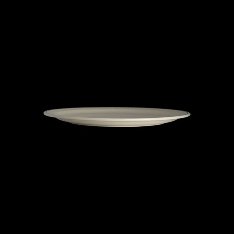 Plate Narrow Rim Black Line