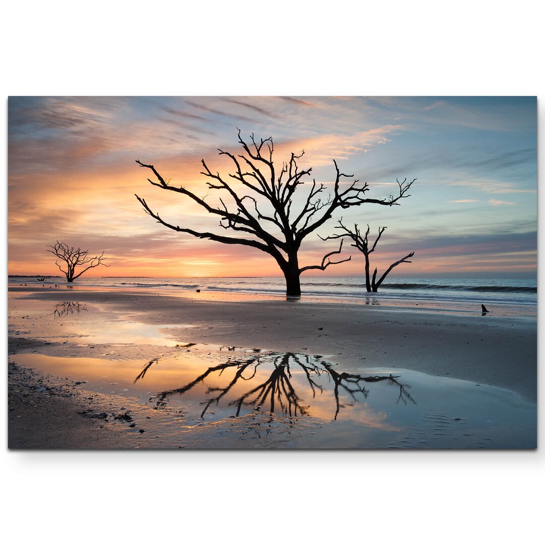 Leinwandbild Kahle Bäume am Strand