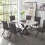 Damanpreet Metal Base Dining Table