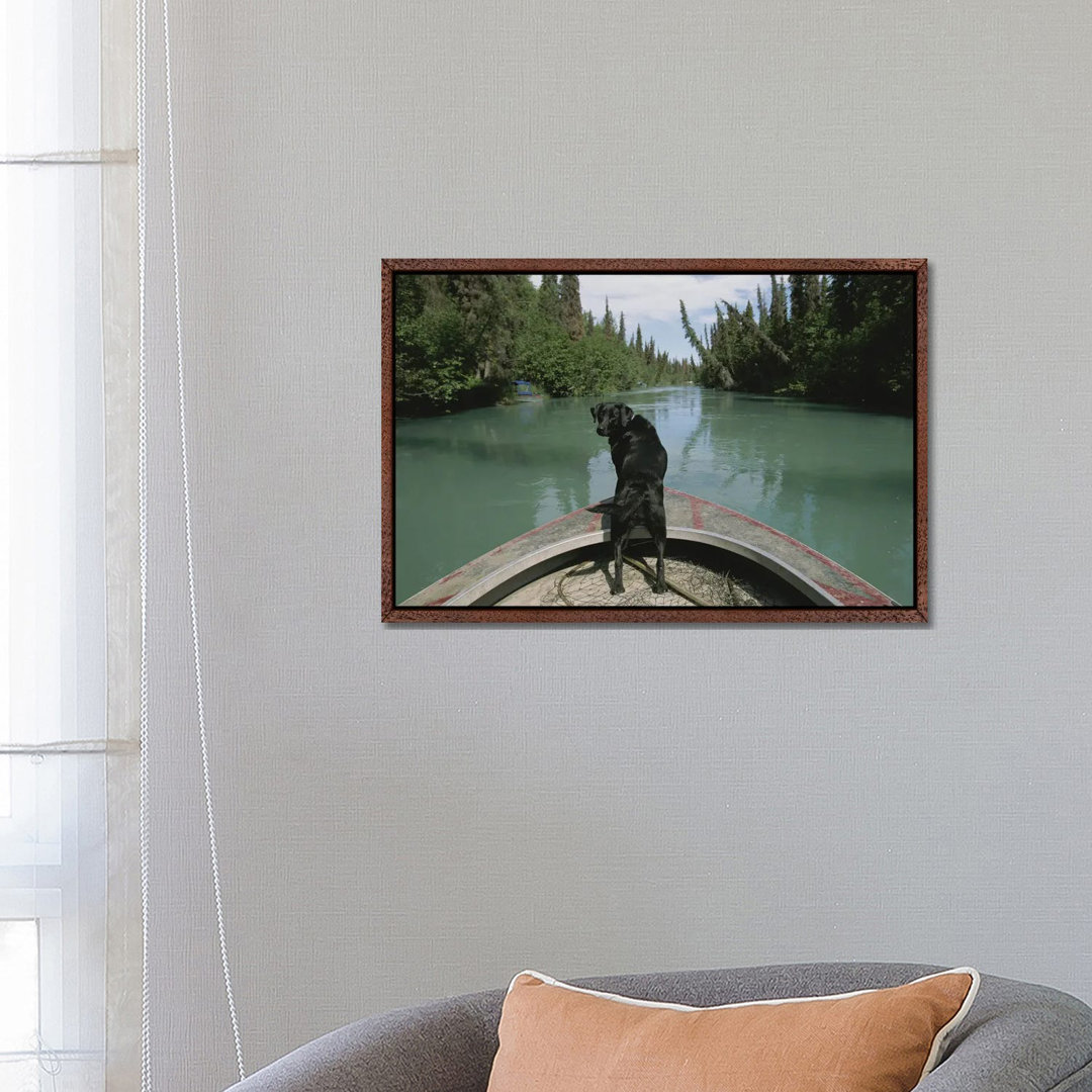 A Black Labrador Dog Travels Up The Kenai River On A Boat's Bow I von Joel Sartore - Gallery-Wrapped Canvas Giclée on Ca...