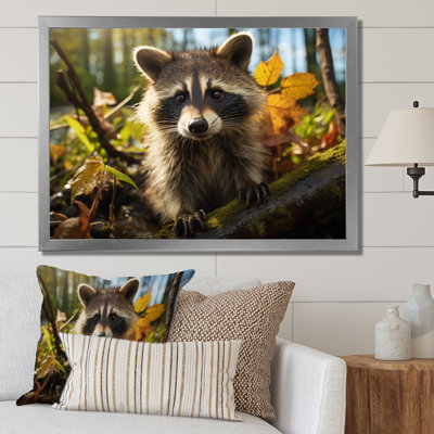 Raccoon Ultra - Animals Canvas Art Print