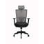 Cassady Swivel Task Chair-927116672