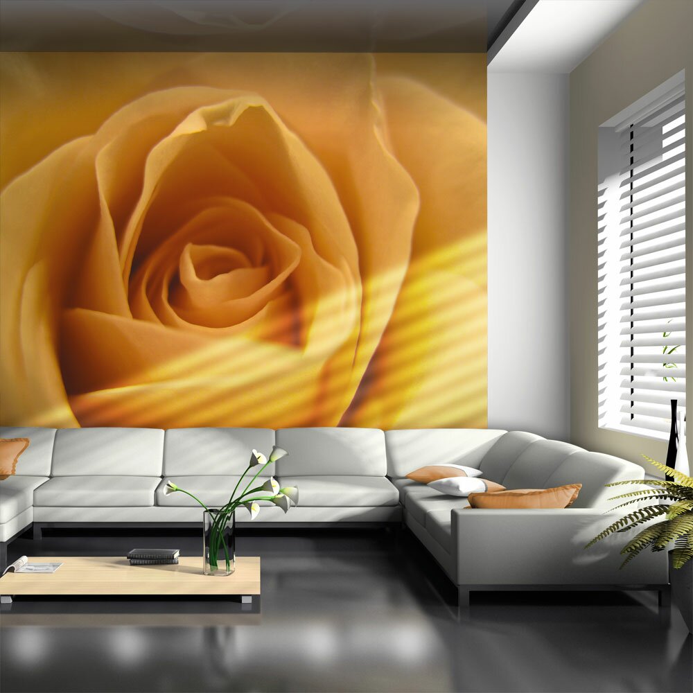 Fototapete Gelbe Rose: Symbol der Freundschaft 270 cm x 350 cm