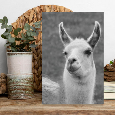Smiling Llama 1 Piece Wrapped Canvas Wall Art