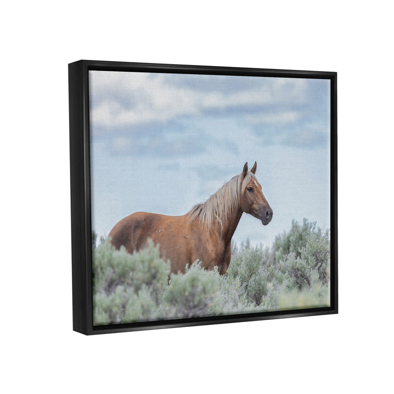 «Stallion Horse parmi les buissons» par Lauri McFerrin - photographie sur toile tendue, Cadre flottant noir de jais