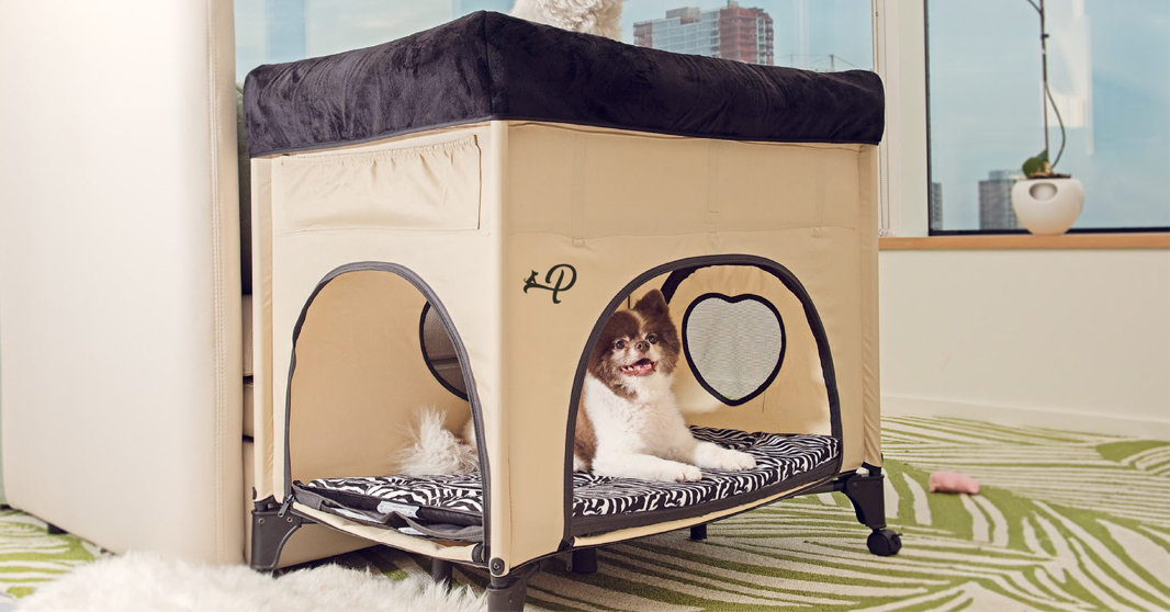 Non-Toxic, Eco-Friendly, Pet-Approved!