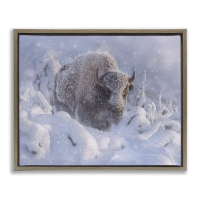 Winter Bison In Deep Floating Frame, design by Collin Bogle