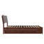 Harlowe Wood Platform Bed with Trundle-2058496865-2058496874