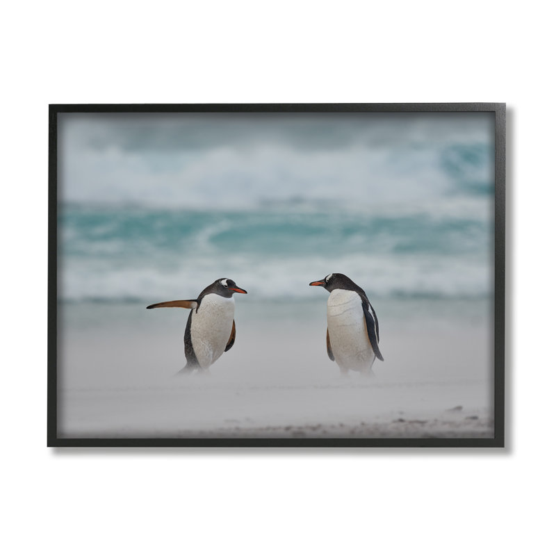 Ba-406 - Pingouins sur la plage arctique, Giclée encadrée noir minuit, H 16 po x l 20 po x P 1,5 po