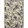 Floral Indoor Rug