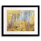 Swan Valley Autumn Portrait #4 Print by Bruce Heinemann