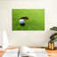 Golf missed shot Sireci-108731721
