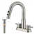 Brushed Nickel